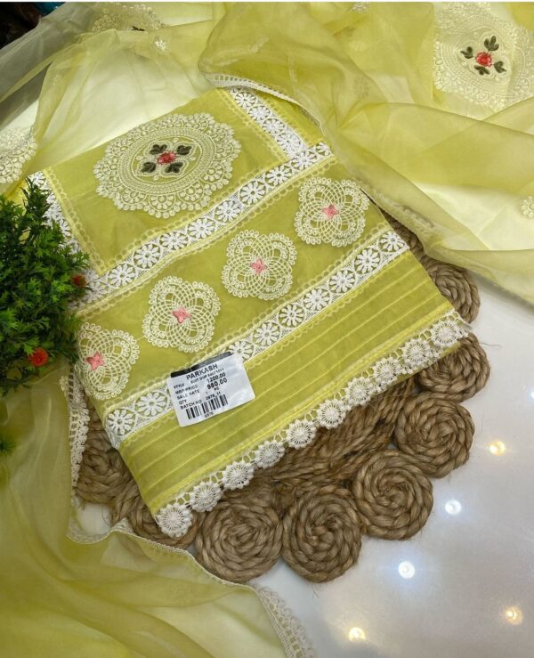 Pure Organza Suit